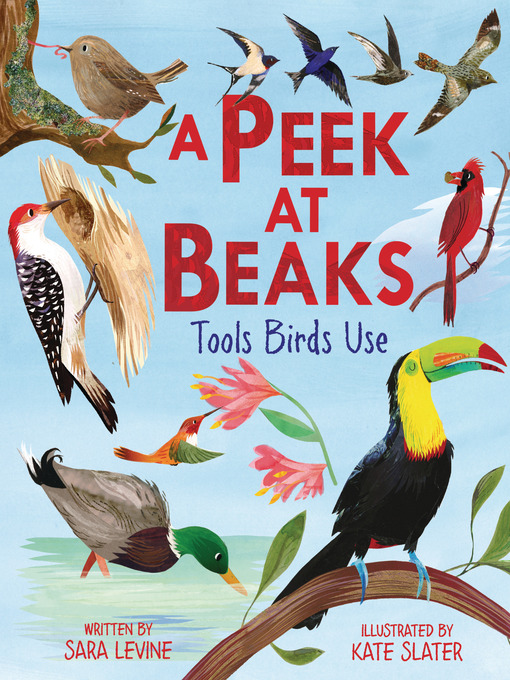 Title details for A Peek at Beaks by Sara Levine - Available